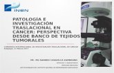 Patología e investigación traslacional en cáncer banco de tejidos tumorales (3)