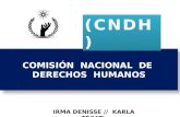 Comisión nacional de derechos humanos resumida