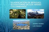 Bosques de los andes  Colombianos
