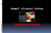 Trasplante renal en Ecuador, aspectos médicos y legales.
