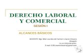 Apuntes de Derecho Laboral y Comercial Sesion I