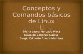 Conceptos y comandos básicos de linux