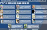 Principios Pedagógicos que sustentan el curriculo 2017