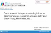 Juan Sandes_ Experto en logistica y distribucion