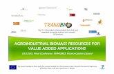 TRANSBIO. Recursos agroindustriales de biomasa para aplicaciones de valor añadido.