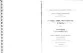 Derecho Procesal Civil resumenes esquematizados A. Cornejo -  Cristian Ureta Diaz