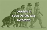 Presentacion Evolución Humana