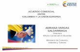 Presentacion avs 4 años tlc ue colombia-enviada