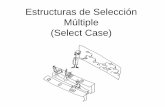 10 estructuras de seleccion select case i-tema10