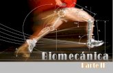 Biomecánica (parte II)