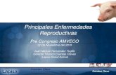 Principales Enfermedades Reproductivas