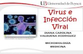 Virus e infección viral