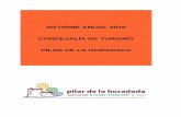 Informe anual oficina de turismo de Pilar de la Horadada 2016