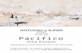 Catálogo de la exposición de Alba Escayo: Pacífico