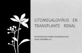 Citomegalovirus    en transplante    renal