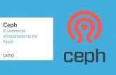 Ceph: The Storage System of the Future