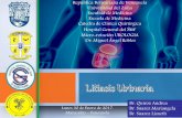 Seminario grupo 3 litiasis urinarias , colico renal , hematuria , ca vesical