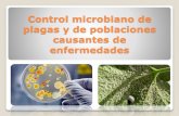 CONTROL MICROBIANO DE PLAGAS