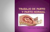 Trabajo de parto y parto normal