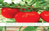 Baja california sur infografia agroalimentaria 2015