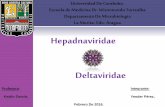 Virus del Hepatitis B y D