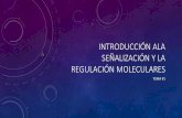 Embriologia introducción ala señalización y la regulación moleculares