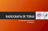 Radiografia de torax cardiovascular