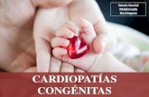 Cardiopatías Congénitas: Resumen De Las Más Importantes