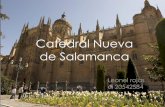 Catedral nueva salamanca
