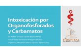Intoxicación por Organofosforados y Carbamato