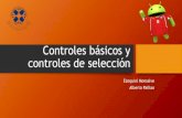 Controles básicos y controles de selección