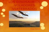 Dinosaurios voladores vertebrados