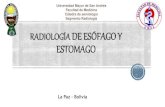 Radiologia de esofago y estomago