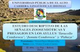 Presentación tesis Víctor Paco Montevilla - UPEA