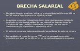 Brecha Salarial Final Expo!