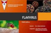 Flavivirus fiebre amarilla dengue hantavirus