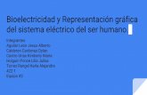 Bioelectricidad y representacion grafica del sistema electrico del ser humano.