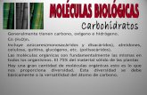 Moleculas  de corbohidratos