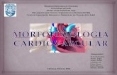 Morfofisiologia Cardiovascular