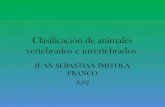 Clasificación de animales vertebrados e invertebrados