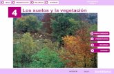 Los suelos y la vegetación de España.Tema 4