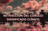 Reatracción del coágulo: significado clínico.