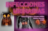 Infecciones urinarias agudas