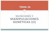 Tema 16. ingenieria genética (II) 2018