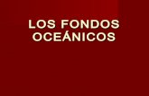 Los fondos oceánicos