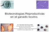 Biotecnologias reproductivas  en el ganado bovino
