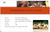 Investiga Lobo Sara PPT
