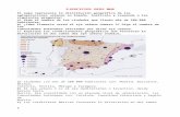 Web viewEl mapa representa la distribución geográfica de las aglomeraciones urbanas en España. Analícelo y responda a las siguientes preguntas: