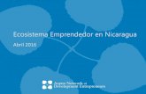 Ecosistema Emprendedor en Nicaragua - c.ymcdn.com · PDF fileEtapa Idea Inicio/Startup Etapa temprana Fase de expansión Crecimiento Consolidación o s o Global Partnerships Ecosistema