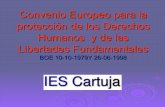 Convenio Europeo para la protección de los Derechos Humanos yinformacional.es/pe/ppt/62.pdf · Convenio Europeo para la protección de los Derechos Humanos y de las Libertades Fundamentales